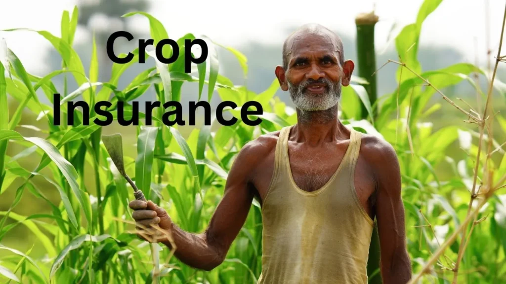 Crop Insurance